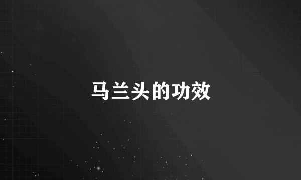 马兰头的功效