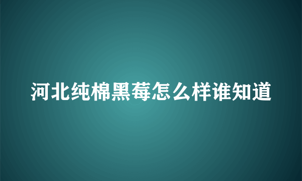 河北纯棉黑莓怎么样谁知道