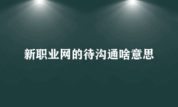 新职业网的待沟通啥意思