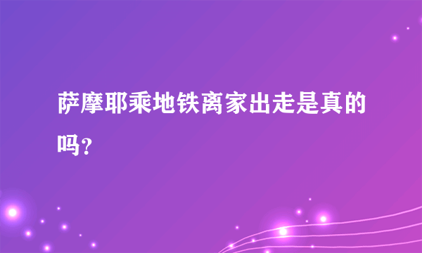 萨摩耶乘地铁离家出走是真的吗？