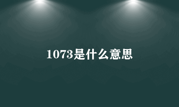 1073是什么意思