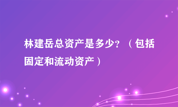 林建岳总资产是多少？（包括固定和流动资产）