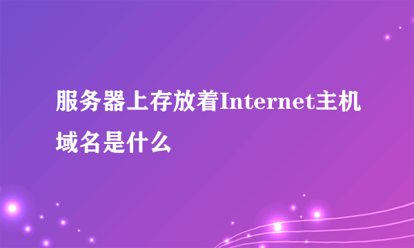 服务器上存放着Internet主机域名是什么
