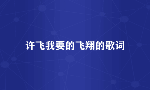 许飞我要的飞翔的歌词