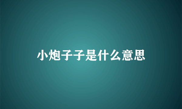 小炮子子是什么意思