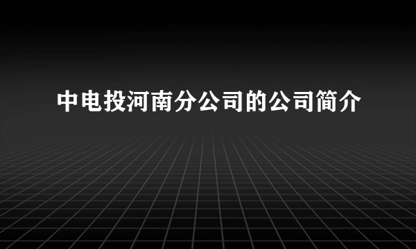 中电投河南分公司的公司简介