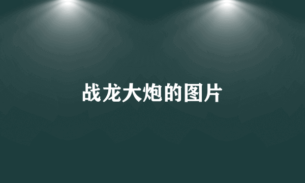 战龙大炮的图片