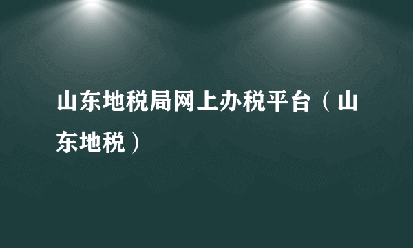 山东地税局网上办税平台（山东地税）
