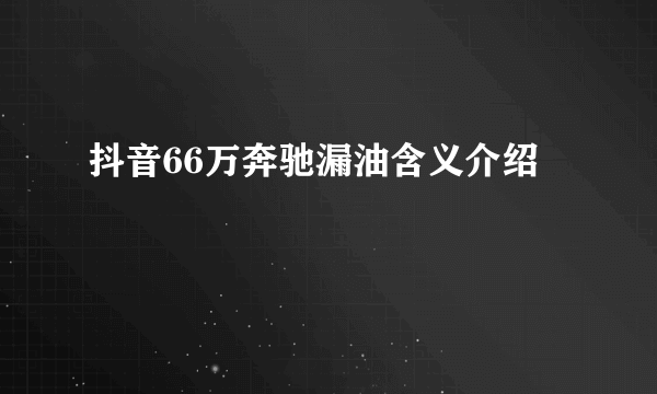抖音66万奔驰漏油含义介绍