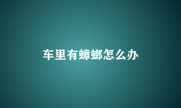 车里有蟑螂怎么办