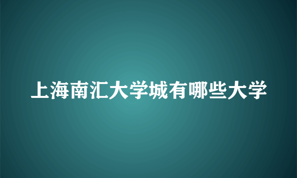 上海南汇大学城有哪些大学