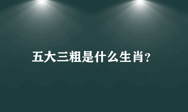 五大三粗是什么生肖？
