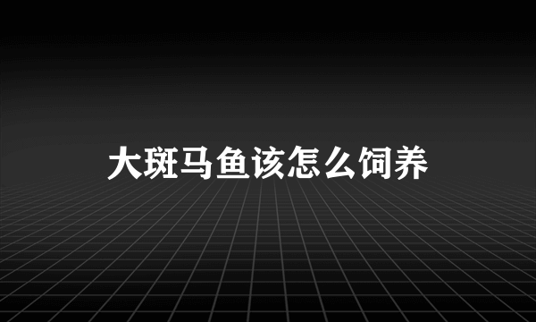大斑马鱼该怎么饲养