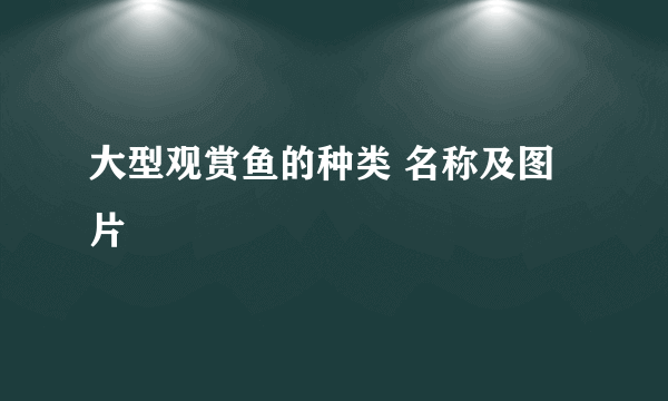 大型观赏鱼的种类 名称及图片