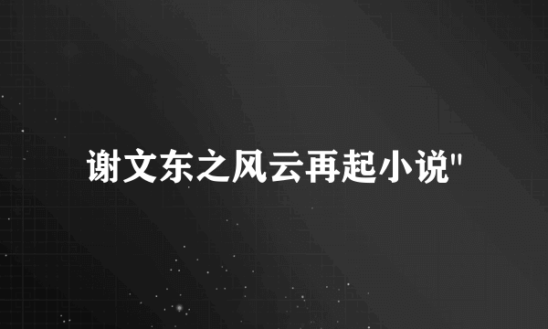 谢文东之风云再起小说