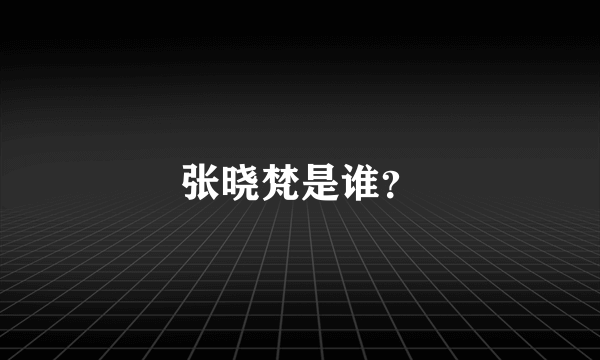 张晓梵是谁？