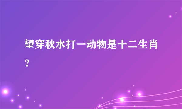 望穿秋水打一动物是十二生肖？