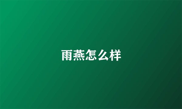 雨燕怎么样