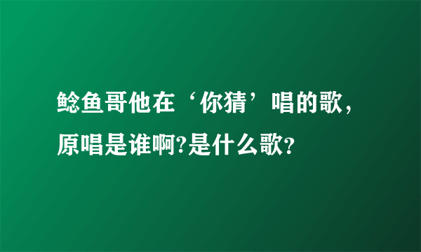 鲶鱼哥他在‘你猜’唱的歌，原唱是谁啊?是什么歌？