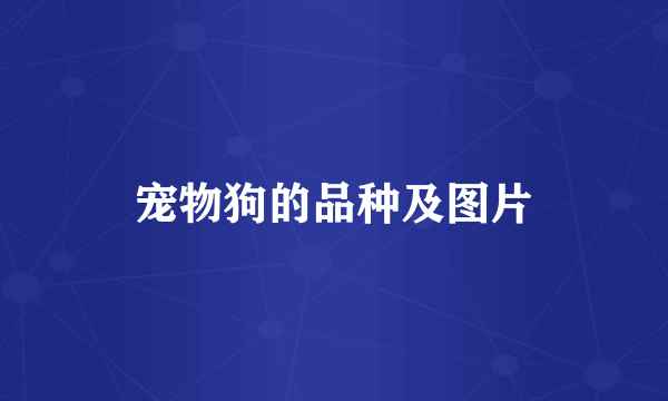 宠物狗的品种及图片