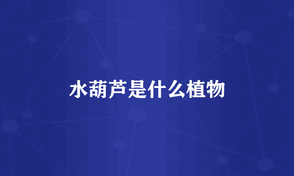 水葫芦是什么植物