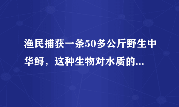 渔民捕获一条50多公斤野生中华鲟，这种生物对水质的要求有多严苛？