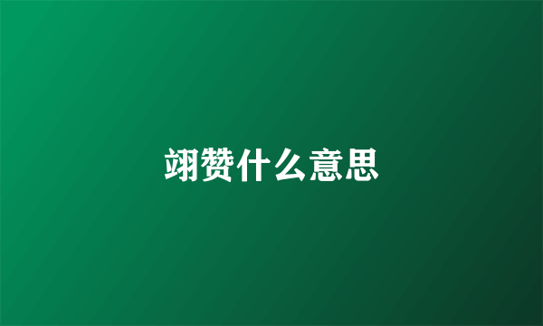 翊赞什么意思