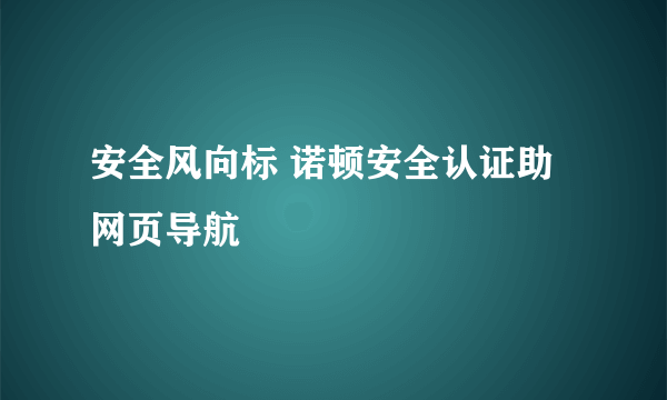 安全风向标 诺顿安全认证助网页导航