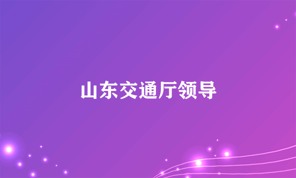山东交通厅领导
