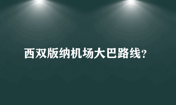 西双版纳机场大巴路线？