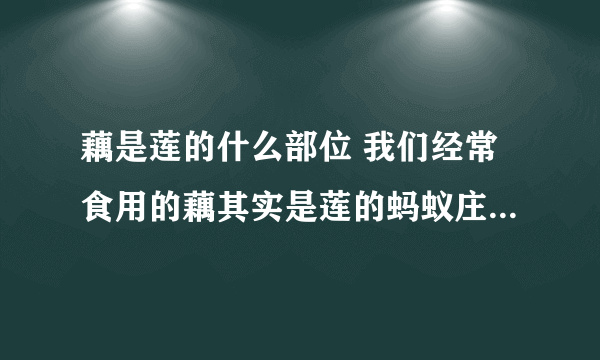 藕是莲的什么部位 我们经常食用的藕其实是莲的蚂蚁庄园7.16
