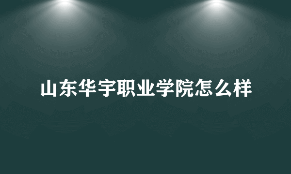 山东华宇职业学院怎么样