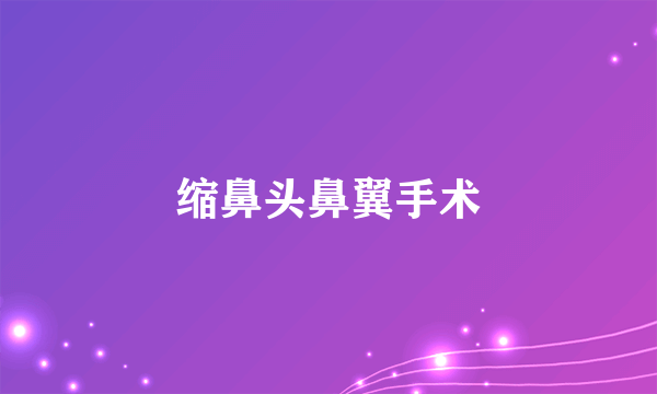 缩鼻头鼻翼手术