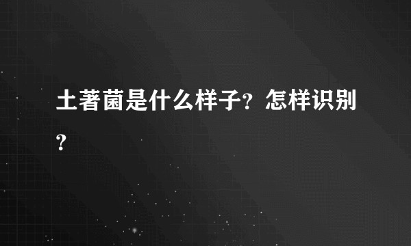 土著菌是什么样子？怎样识别？