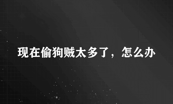 现在偷狗贼太多了，怎么办
