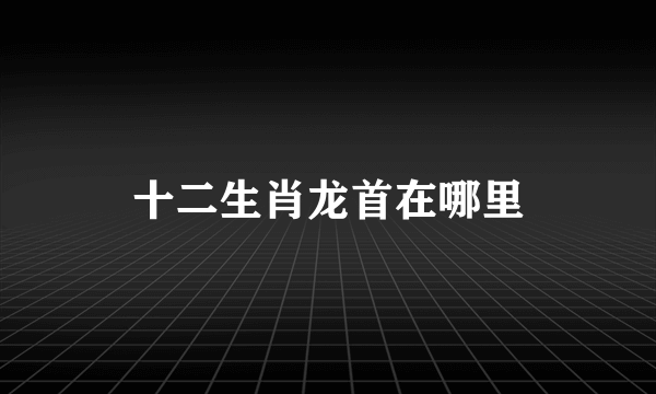 十二生肖龙首在哪里