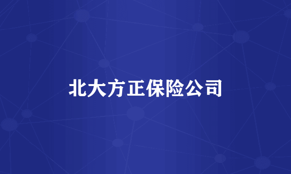 北大方正保险公司