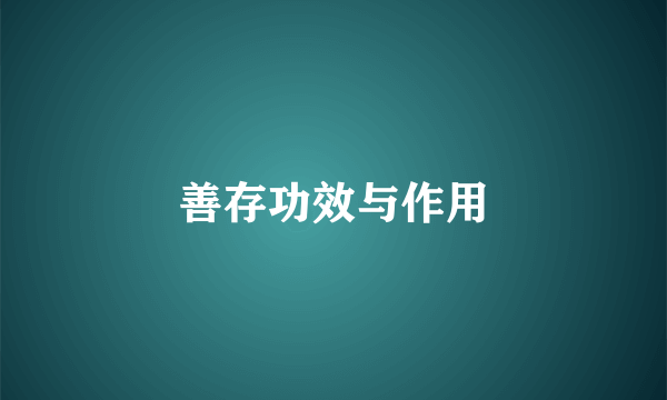 善存功效与作用