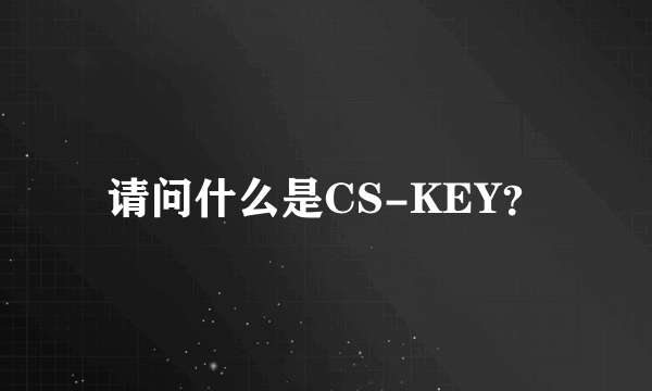 请问什么是CS-KEY？