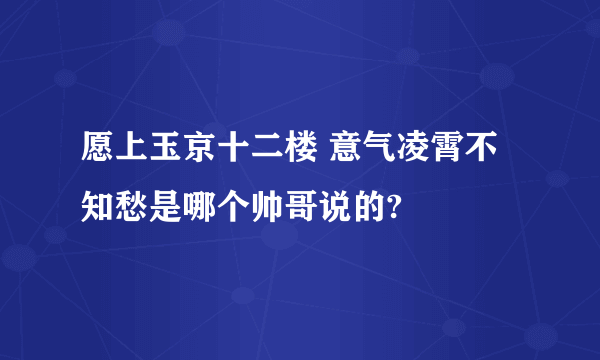 愿上玉京十二楼 意气凌霄不知愁是哪个帅哥说的?