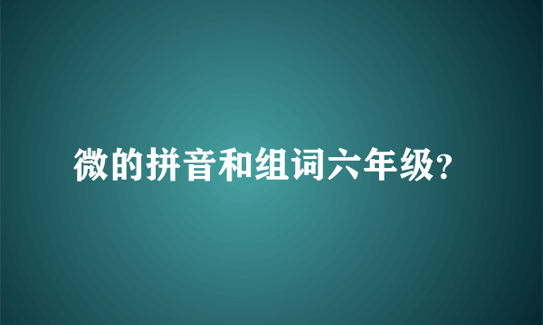 微的拼音和组词六年级？