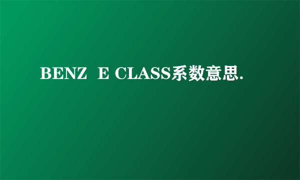 BENZ  E CLASS系数意思.
