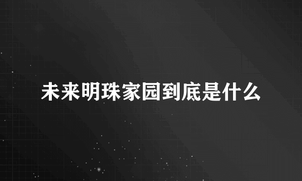 未来明珠家园到底是什么