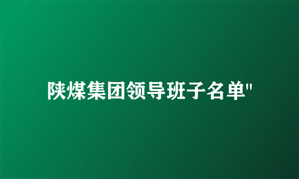 陕煤集团领导班子名单