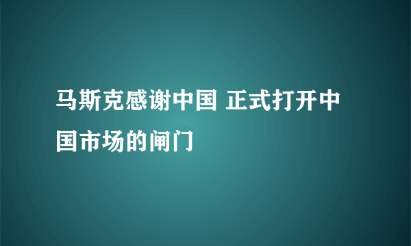 马斯克感谢中国 正式打开中国市场的闸门