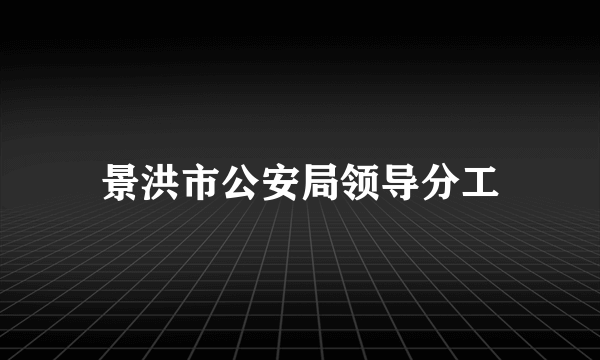景洪市公安局领导分工