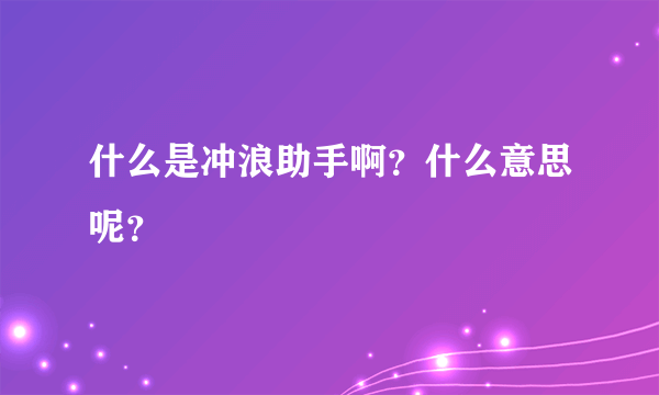 什么是冲浪助手啊？什么意思呢？
