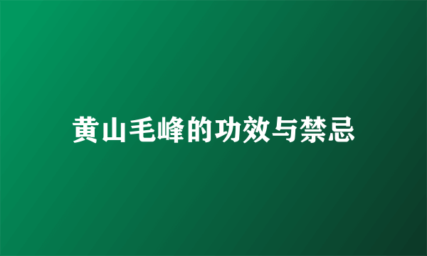 黄山毛峰的功效与禁忌