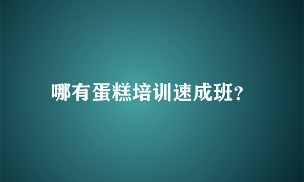 哪有蛋糕培训速成班？