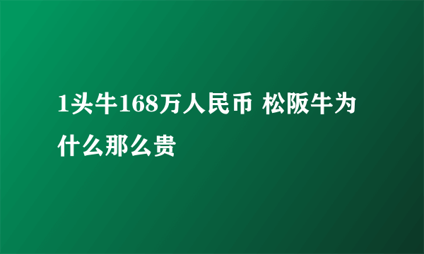 1头牛168万人民币 松阪牛为什么那么贵